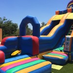 Tobogán Terrestre Delfín