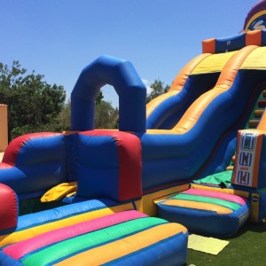 Tobogán Terrestre Delfín