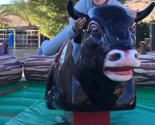 Toro Mecánico en Alicante. Alquiler del Toro mecánico a toda la provincia.